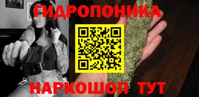 шишки Гусев
