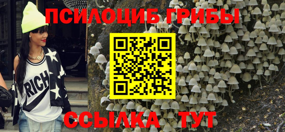 Псилоцибиновые грибы Cubensis Малгобек