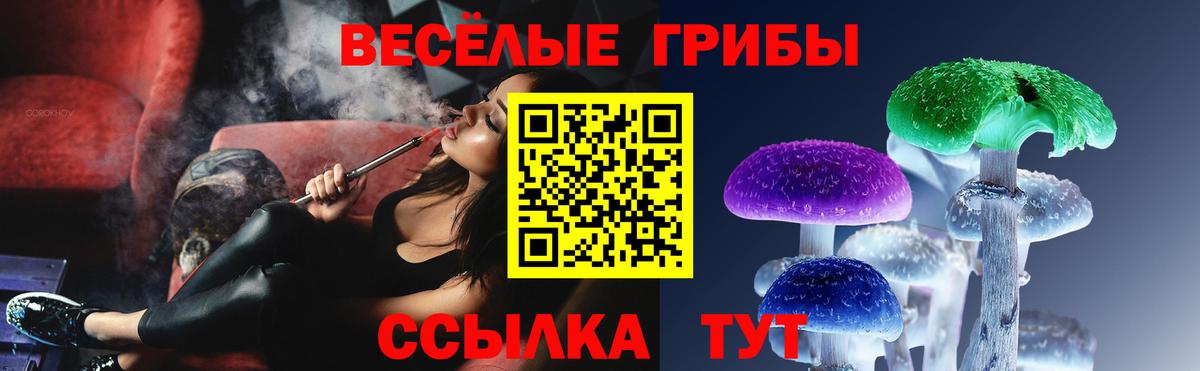 Псилоцибиновые грибы GOLDEN TEACHER  Вход с VPN  Малгобек 